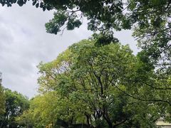 -龚家花园农家乐休闲别墅
