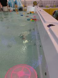 -登康贝比母婴生活(海伦国际店)