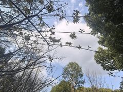 -凤凰沟景区