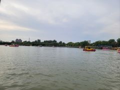 -天津水上公园