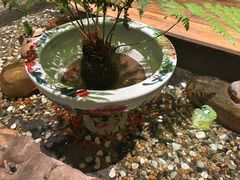 -龙源茶坊(白银路店)