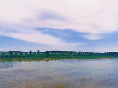 -南大港湿地风景区