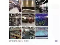 -金吉鸟健身游泳