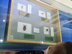 -上海昆虫博物馆