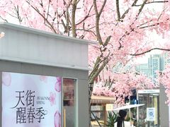 -首开·龙湖成都西宸天街
