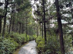 -重庆云阳龙缸景区