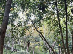 -杭州半山国家森林公园