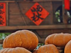 -篁岭景区
