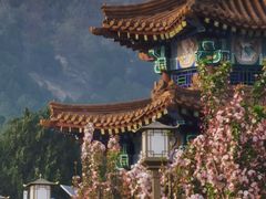 -泰山风景名胜区-虎山公园