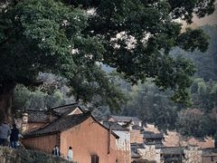 -杨家堂村