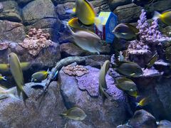 -成都浩海立方海洋公园