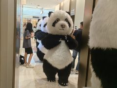 -东莞松山湖万象汇