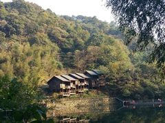 -祁门牯牛降观音堂风景区