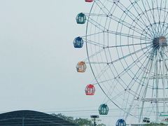 景点-金卉庄园