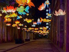 -赤坎·广东华侨国际旅游度假区