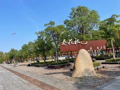 -春花秋色城市公园