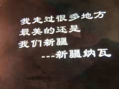 -纳瓦新疆菜(银都店)