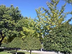 -东北大学(南湖校区)