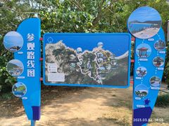 -广东惠东海龟国家级自然保护区