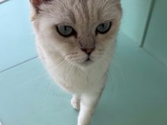 -怪兽屋·羊驼·猫咖·狗咖(俊华广场店)