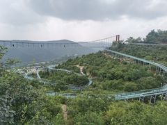 -铜川市金锁关石林