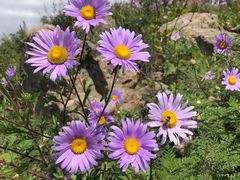 -白草畔自然风景区