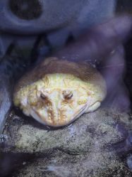 -酷嗒动物文化乐园(cutezoo西溪乐天城店)