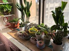 -佩家私房烘焙(宝龙店)