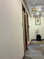 -上海华美医疗美容医院