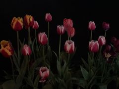 -陳八两面家(滨江天街店)