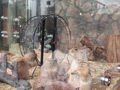 -珠海海泉湾神秘岛亲子乐园