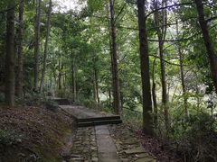 -千岛湖石林