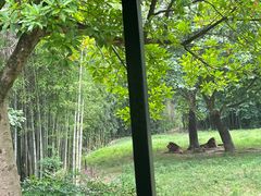 -杭州野生动物世界