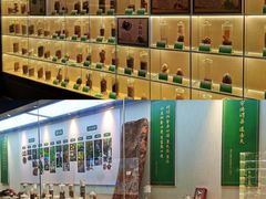 -广东中医药博物馆
