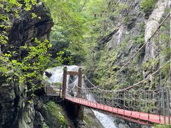 -牛背梁国家森林公园