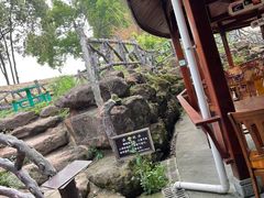 -胖大姐黄辣丁鱼庄(新津店)