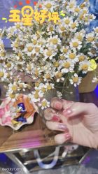 -RL Nail·瑞丽美甲美睫品牌原创店