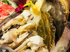 -尚海豆捞(乐虹坊店)