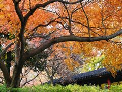 -无锡惠山寺