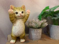 -袖虎猫馆(十亩地店)