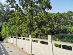 -重庆彩云湖湿地公园