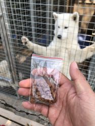 -萌宠亲子动物乐园(槐房万达店)