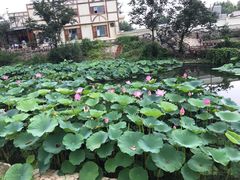 -静之湖湖畔餐厅