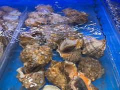 -盒马鲜生(皇庭广场店)