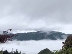 -江南天池
