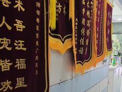 -中农国际动物医院24小时·猫科·骨科·急重症中心