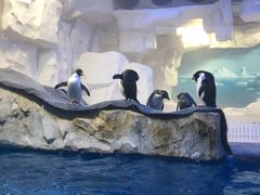 -华夏文旅西安度假区