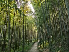 -南山风景名胜区