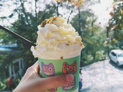 -茶颜悦色(岳麓山顶店)