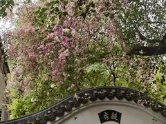 -深圳国际园林花卉博览园